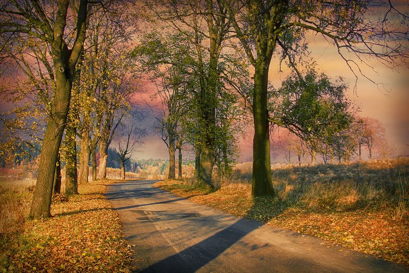 Autumn goes, no advice ... фото превью