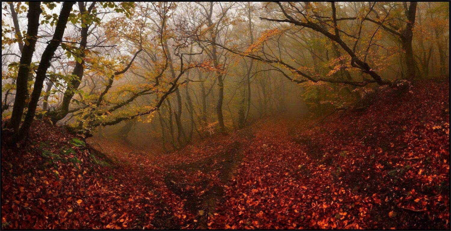 , Владимир Метцгер