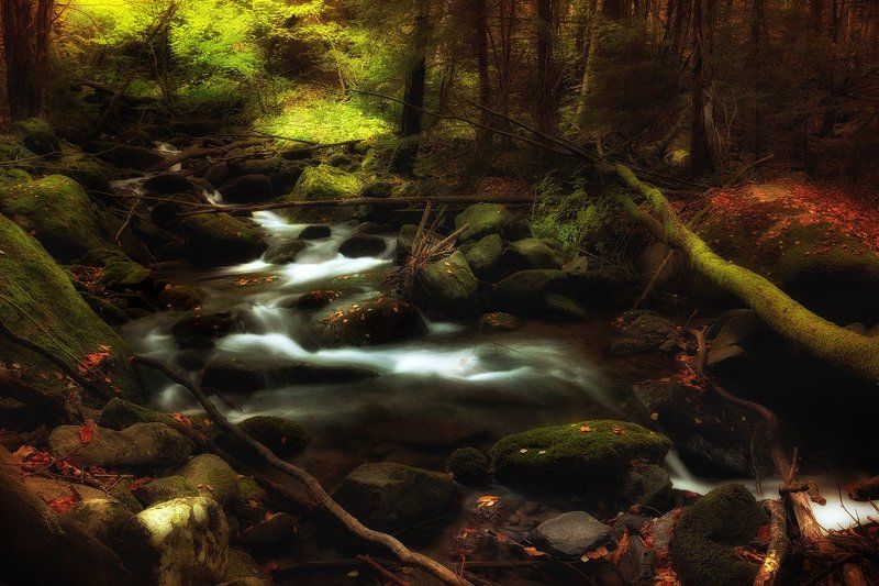 By the River 2 фото превью