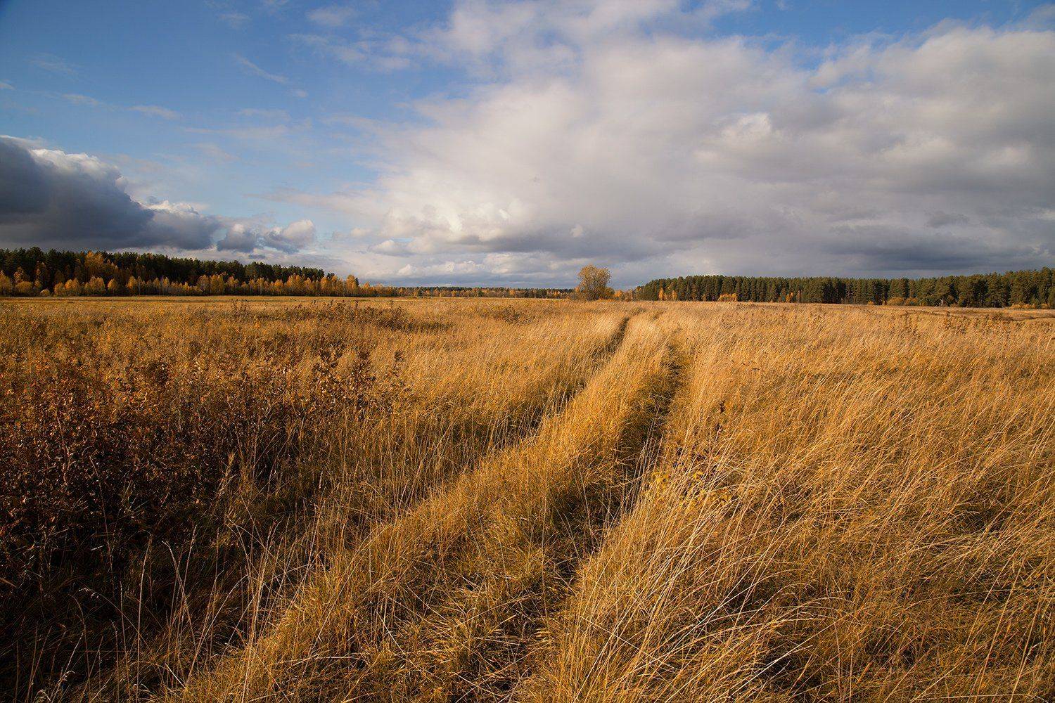 , Поташев Александр