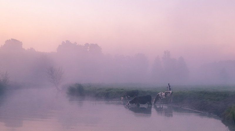 Утро нового дня фото превью