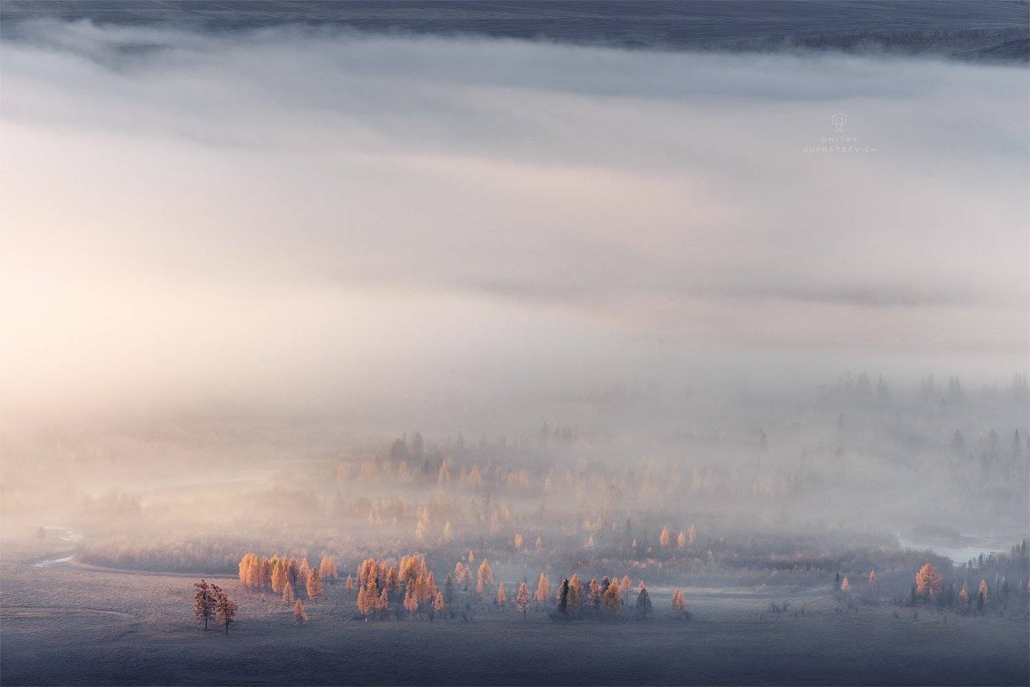 , Дмитрий Купрацевич