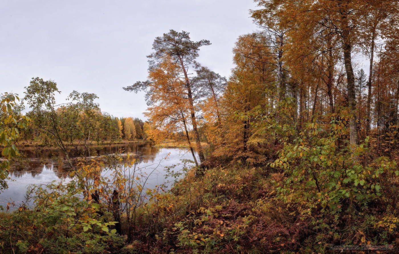, Хохряков Николай