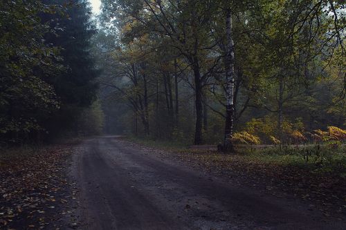 Осенняя дорога