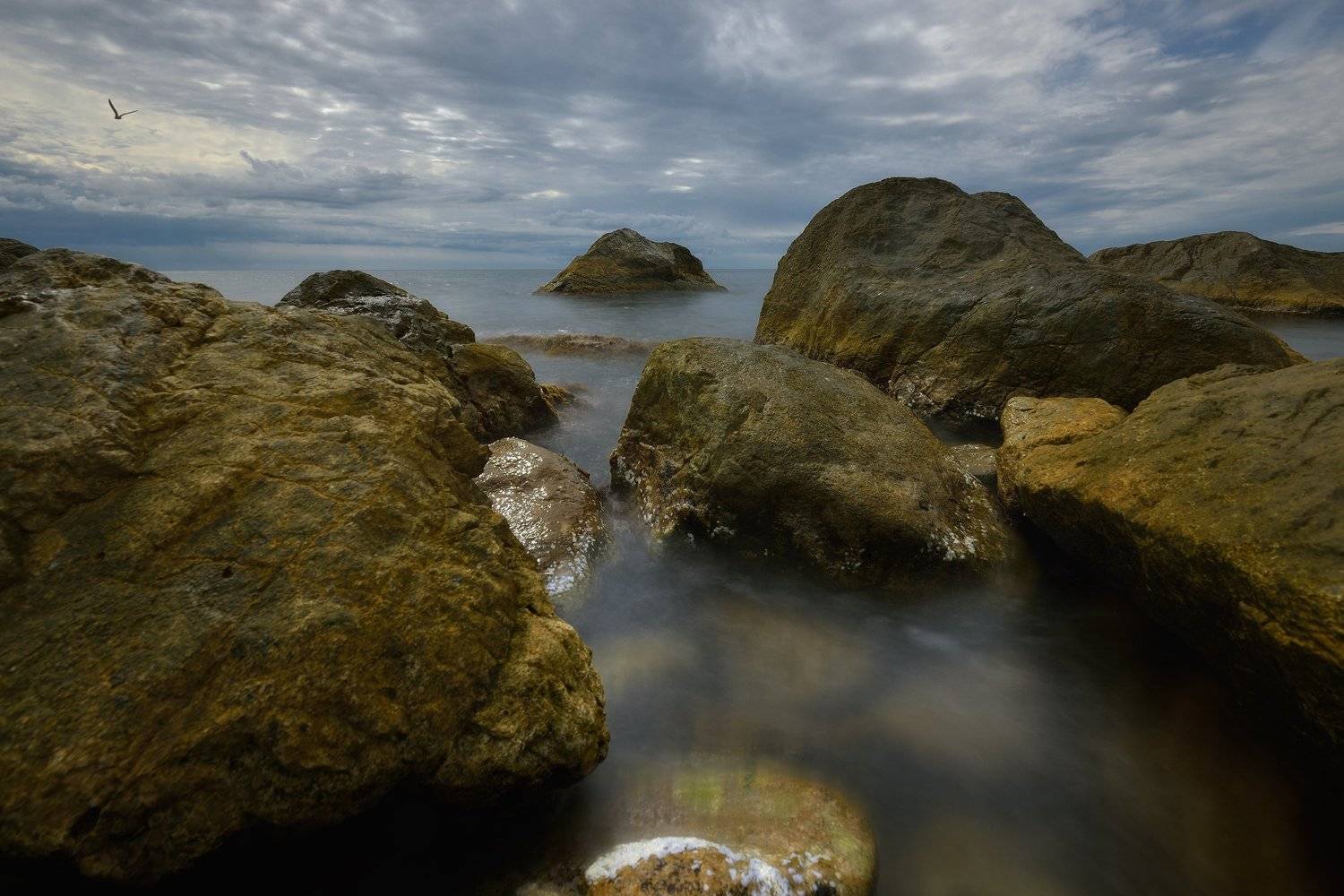 , Алексей Никонов