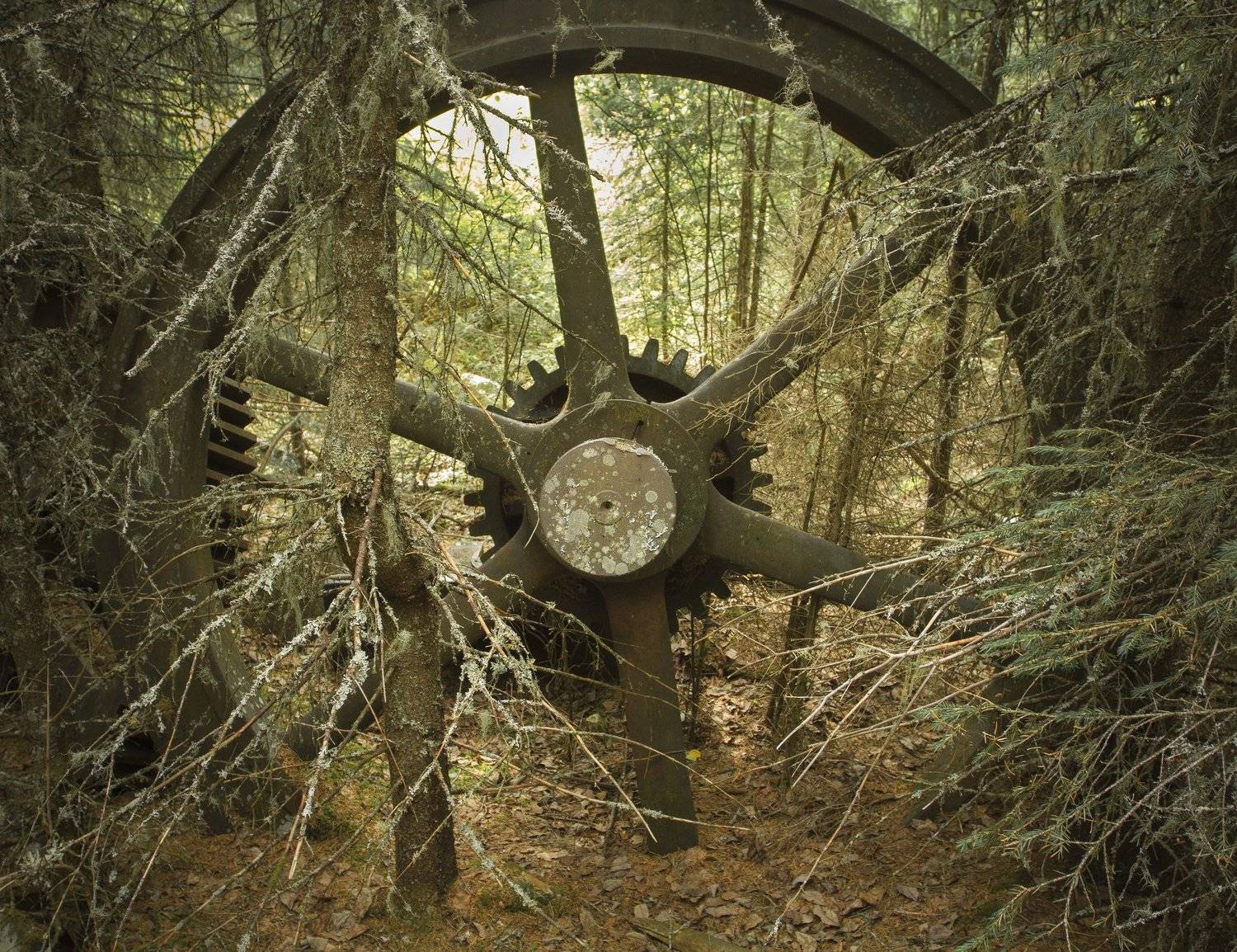 , Федотов Сергей