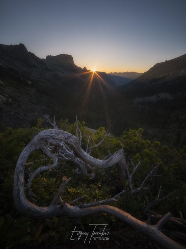ергаки, природа, пейзаж, саяны, горы, лето, сибирь, утро, рассвет, небо, красноярск, западные саяны, скалы, деревья, лес Затаившийся дракон фото превью