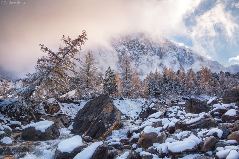 алтай, горы, снег, первый снег. горный алтай, осень. сентябрь Первый снег в Актру фото превью