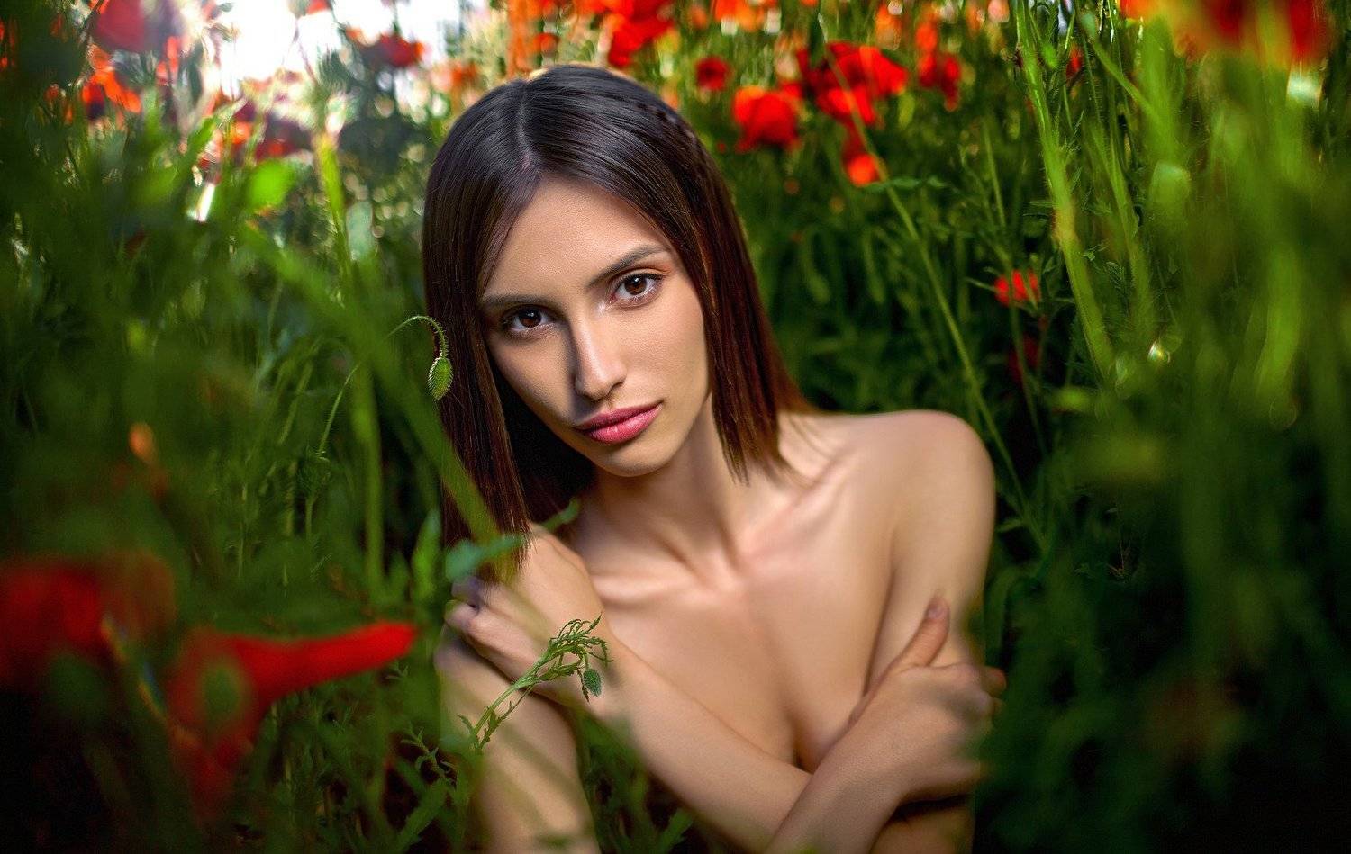 , Деян Романов