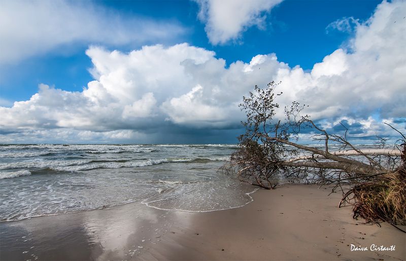sky,clouds,sea Sky city фото превью