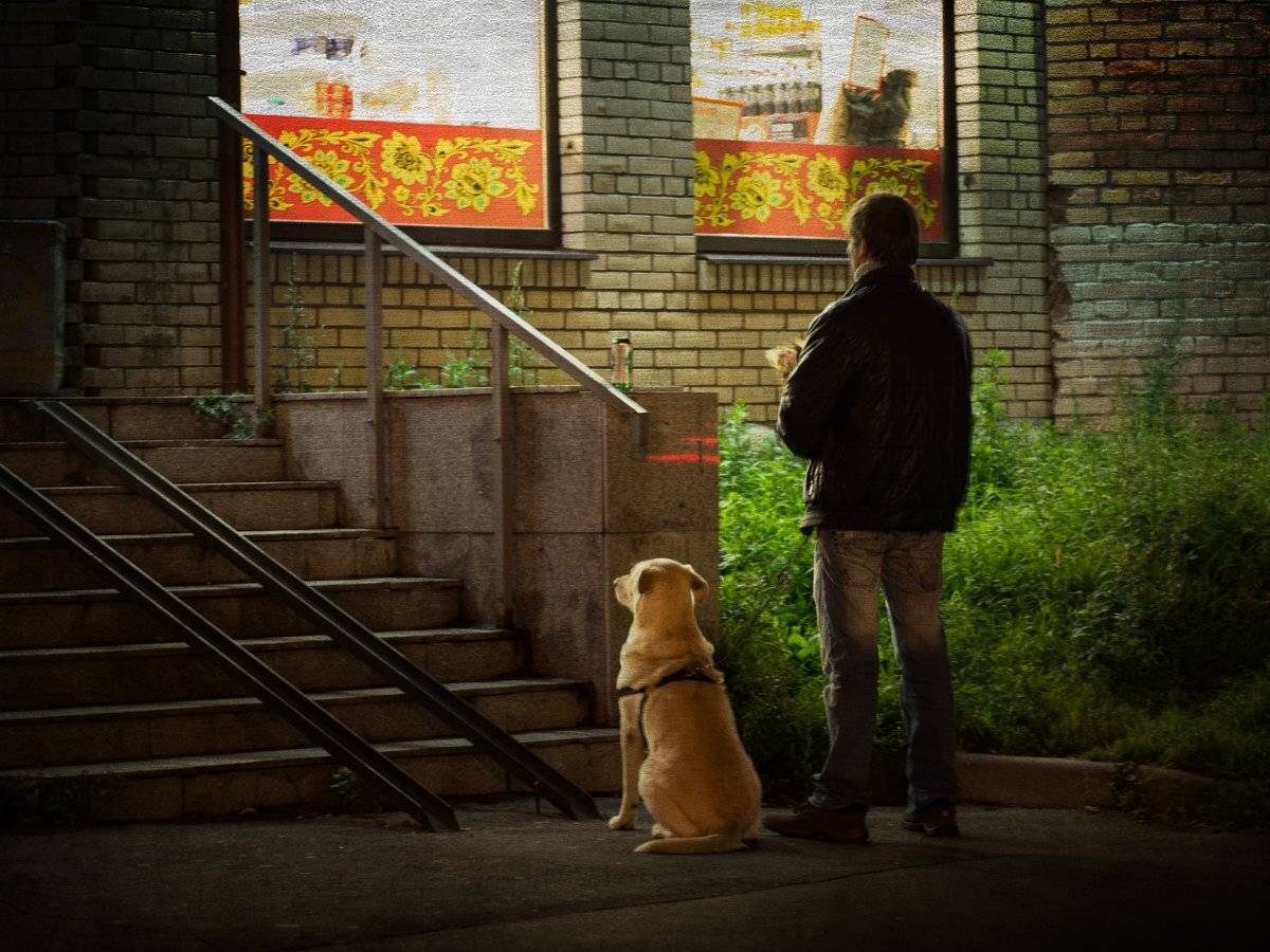 , Штабнов Юрий