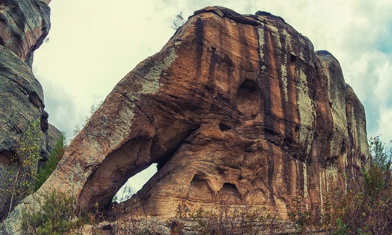 #алтай #altai #altay #altairussia #саввушки #колывань  Слон фото превью