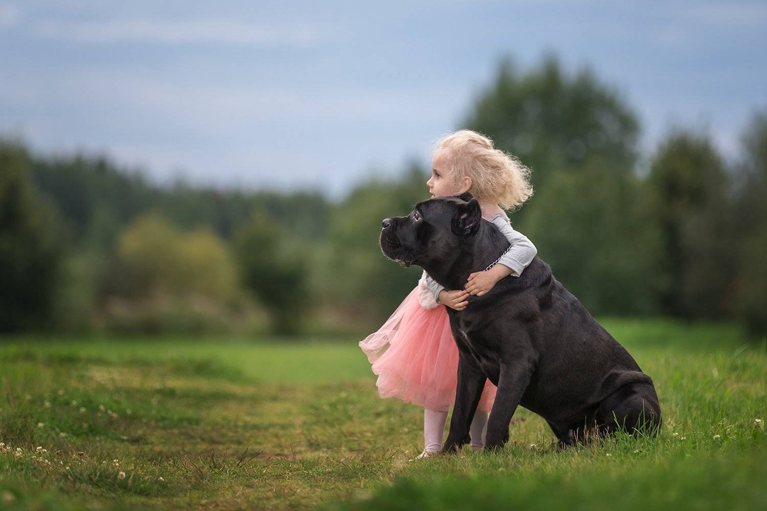 собака, девочка, закат,, Ирина Пажаева