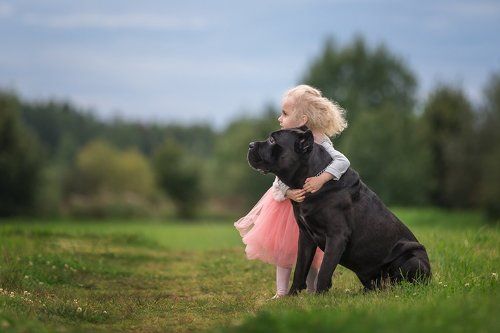 Лучший друг