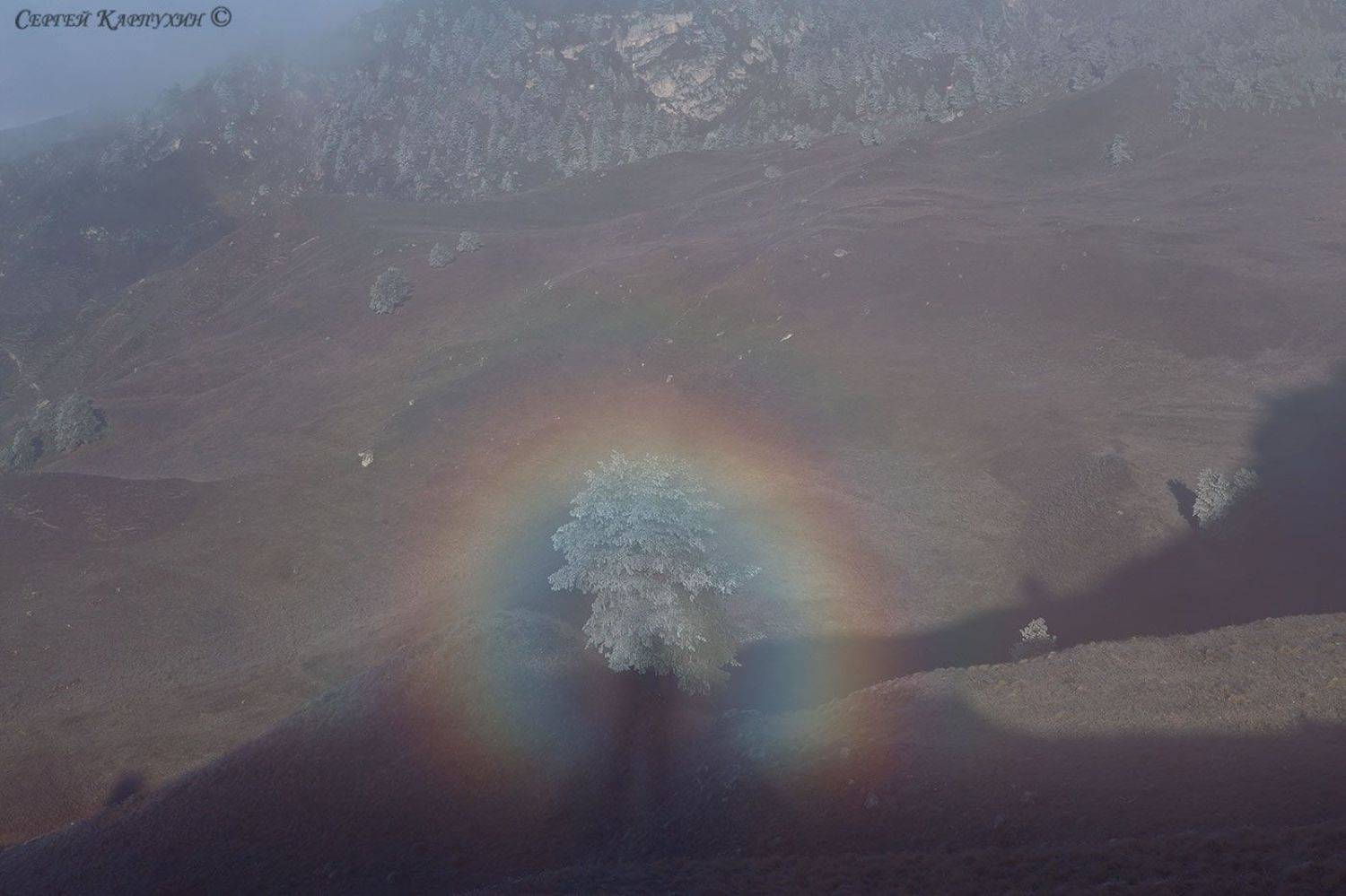 кавказ, ингушетия, заповедник эрзи, Сергей Карпухин