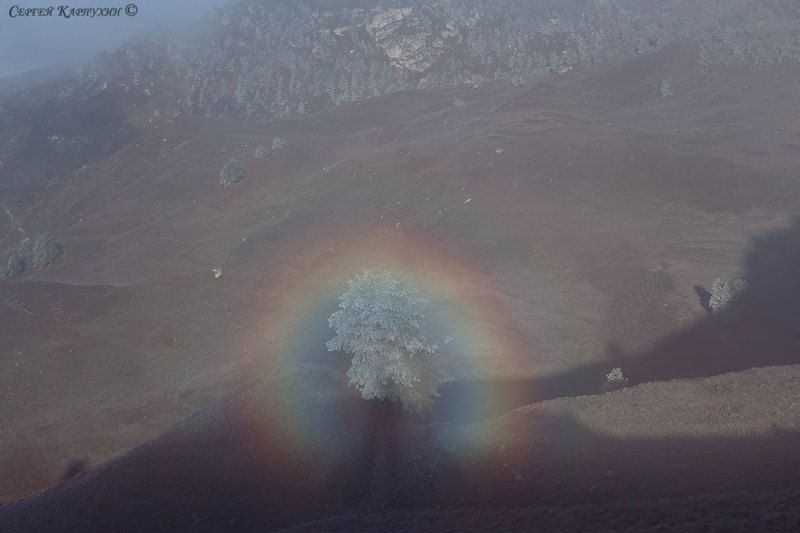 кавказ, ингушетия, заповедник эрзи Нимб. фото превью