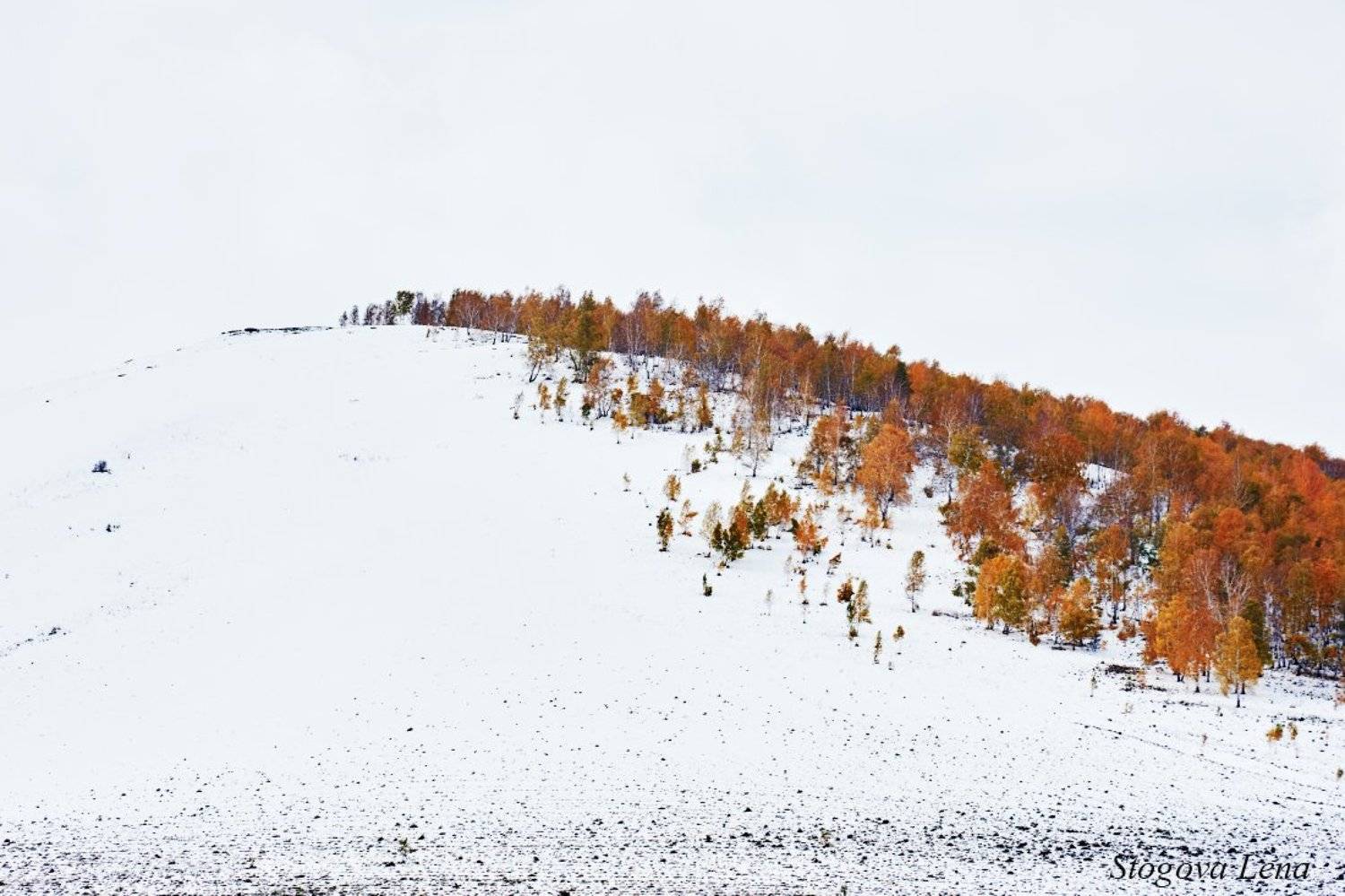 хакасия, осень, зима, Лена Стогова