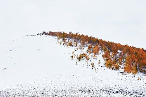 Между осенью и зимой