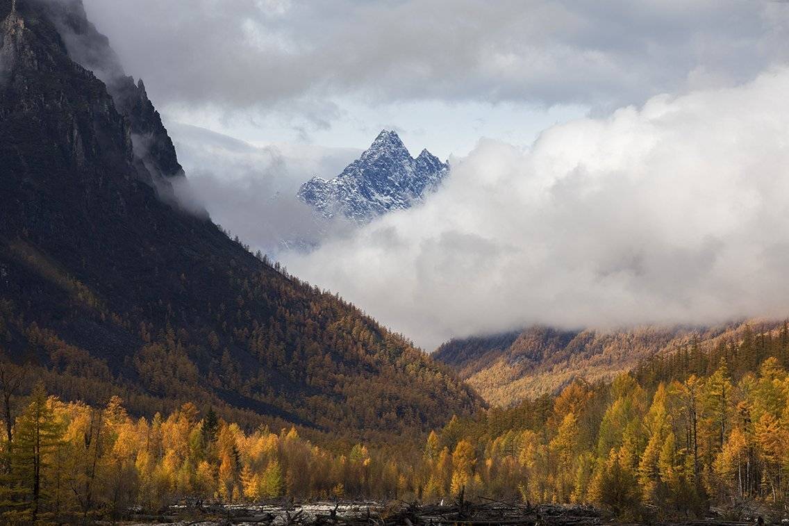 , Андрей Ершов