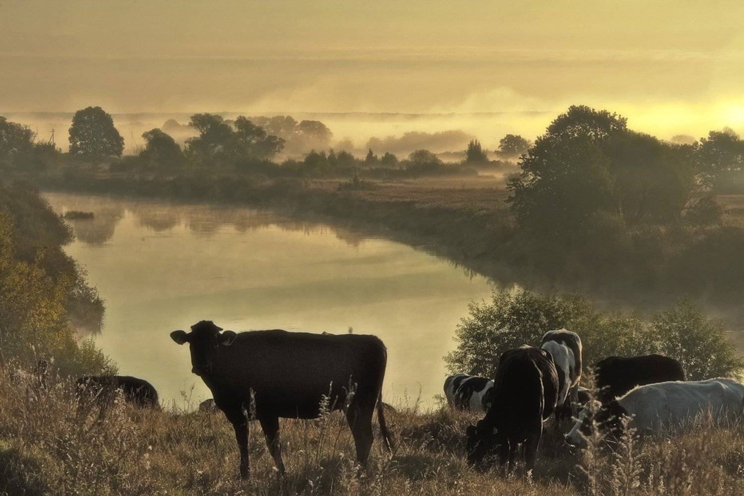 , Валерий Кондратов