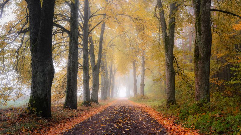 Осень фото превью