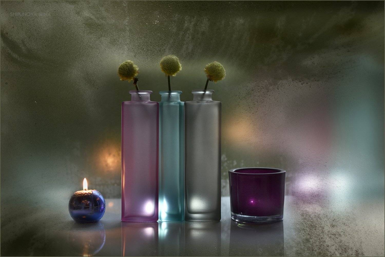 , Шипунова Ирина