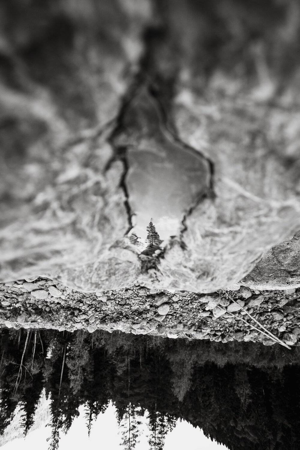 , Кушин Алексей