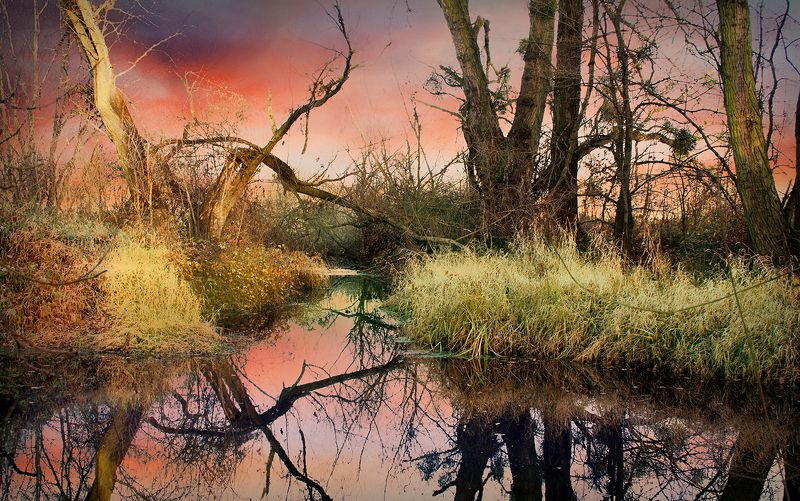 By the river фото превью