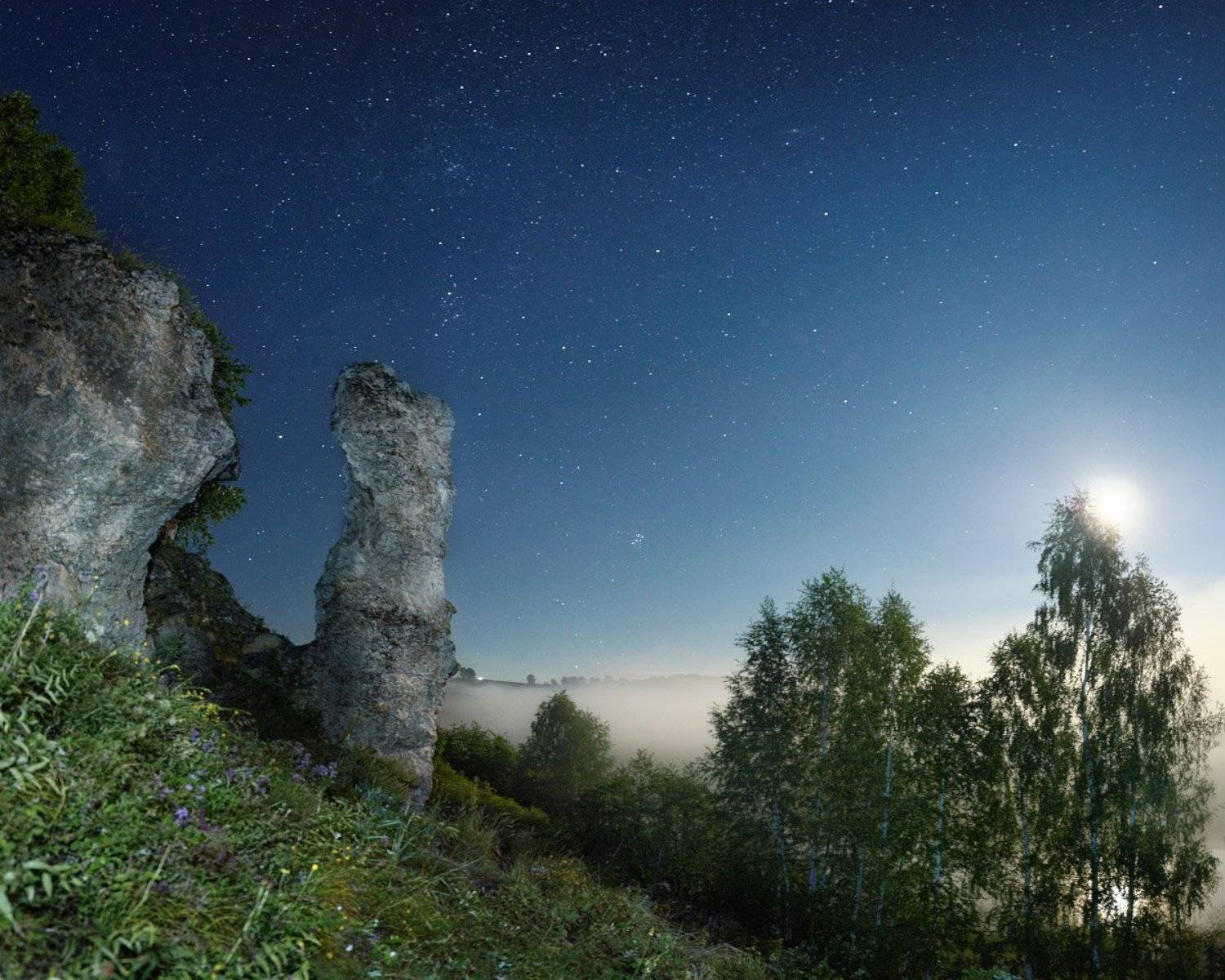 , Дмитрий Медянцев