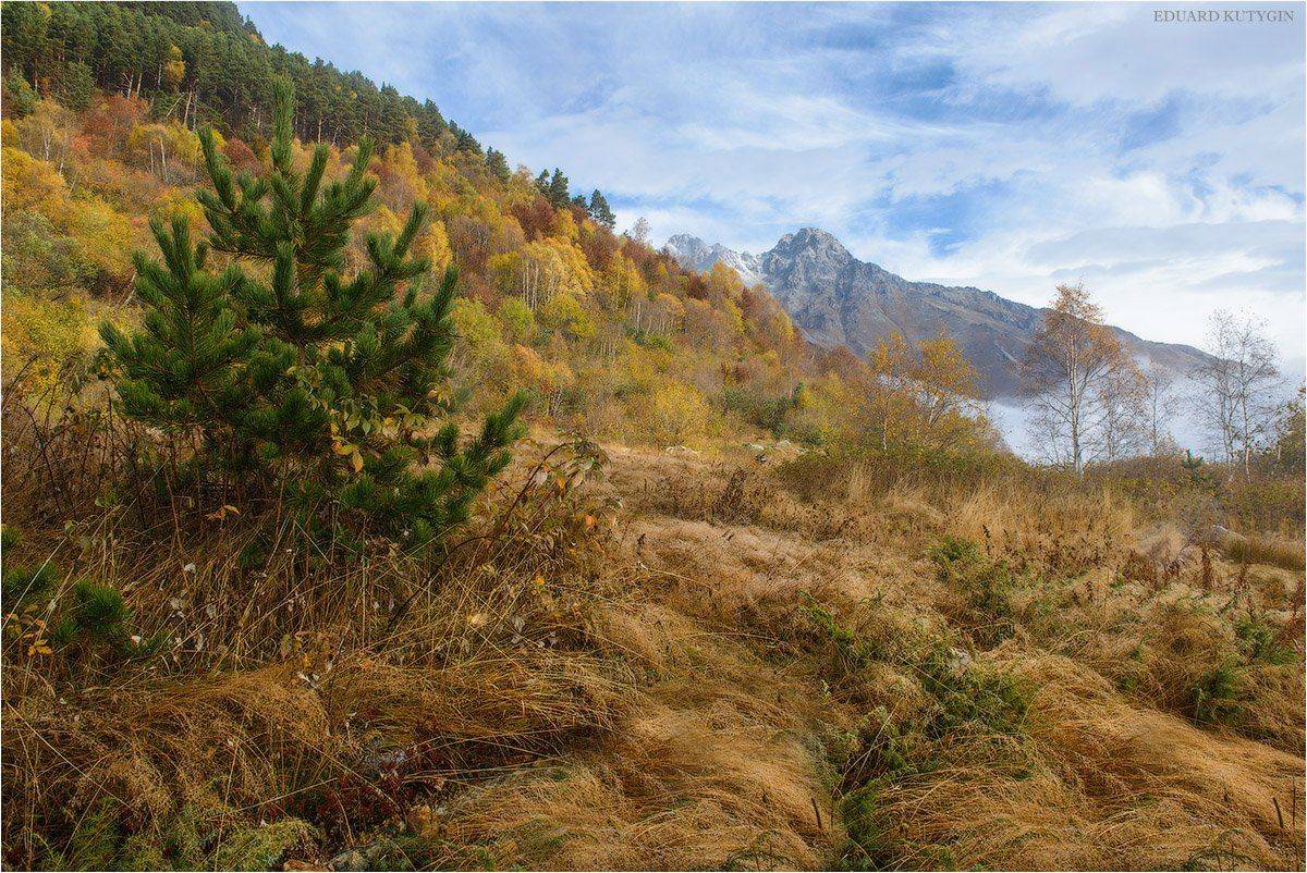 Таймази, трисестры, Урух, осетия, алания, осетияалания, дигорское, кутыгин, золотая, осень, золотаяосень, россия, , Кутыгин Эдуард