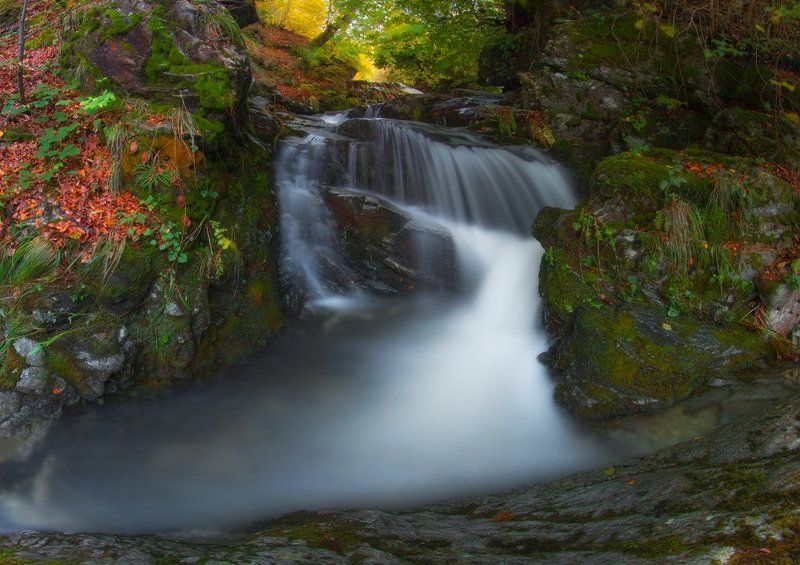 * фото превью