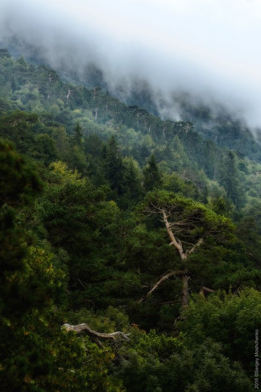 #Landscape #nature #mountains Reserved Crimea фото превью