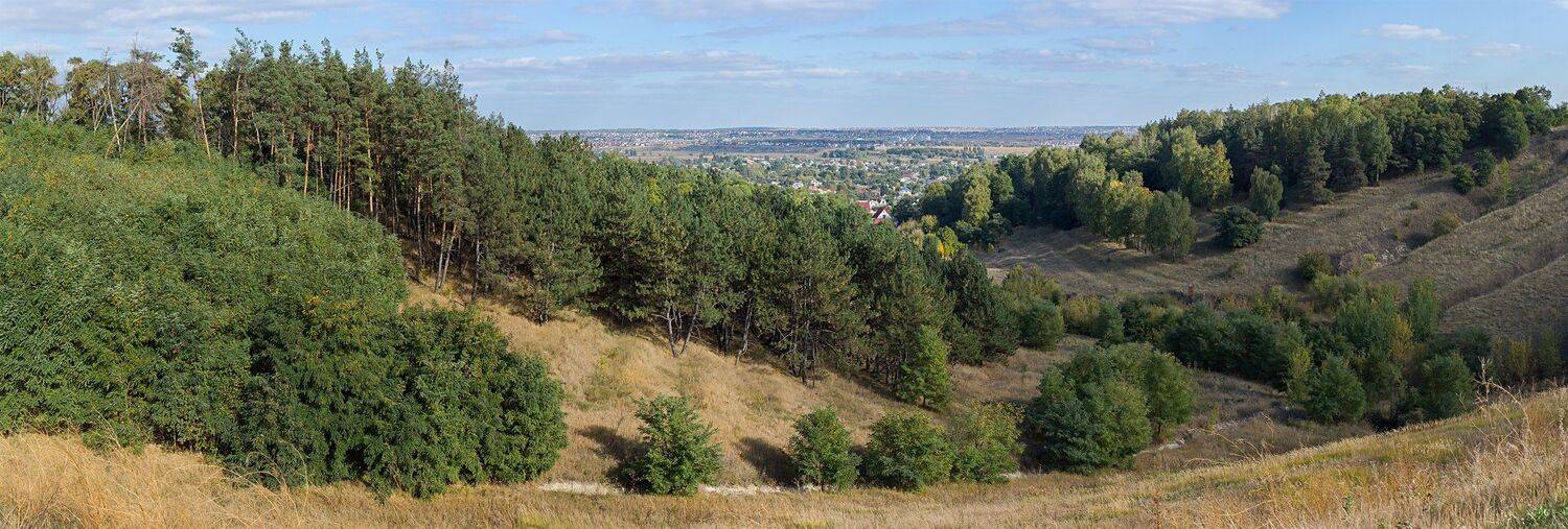 поле,деревья,склон,провода,сено,листва,дома,крыша,ветки,овраг,лес, Юрий Котов