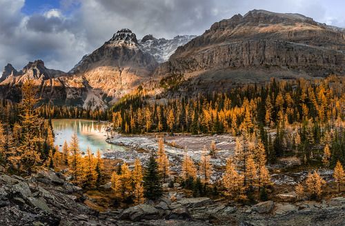 ОСЕННИЕ КРАСКИ ЙОХО