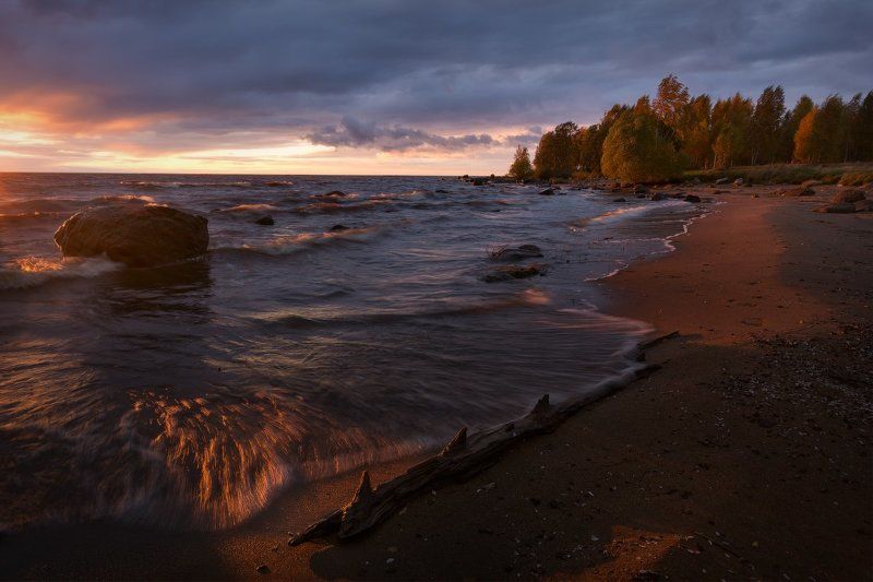 пейзаж, пейзажная съемка, вечер, октябрь, осень, свежесть, желтая листва, никон, landscape, рыбинское море, sunset, закат Бесноватый закат фото превью
