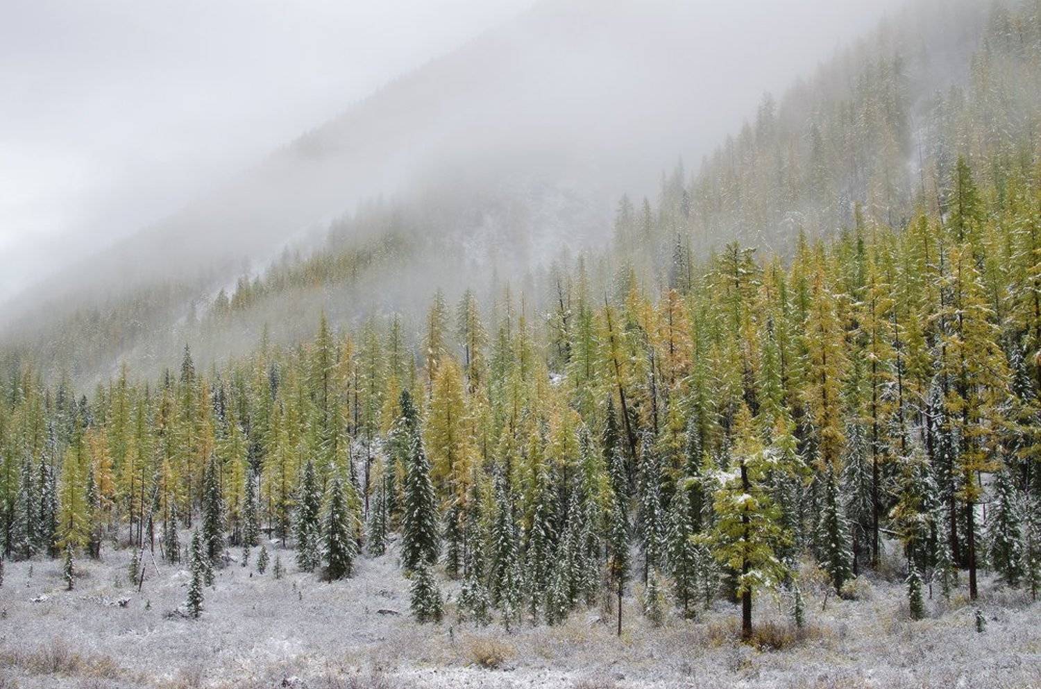 Алтай, р.Шавла, Юсупов Александр