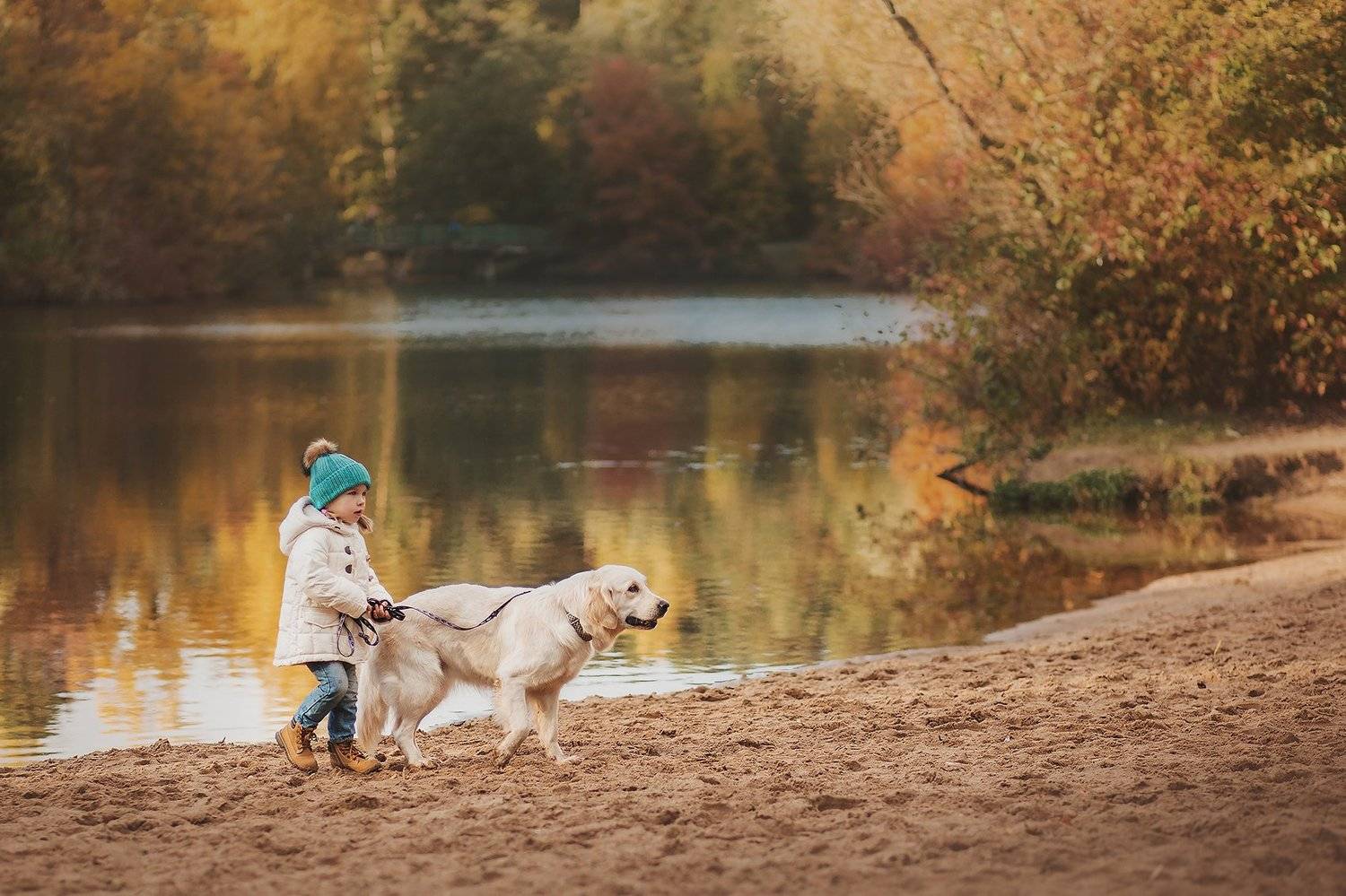 золотистый ретривер, фотосессия с золотистым ретривером, ребенок и золоистый ретривер, девочка с собакой, Никитина Анна