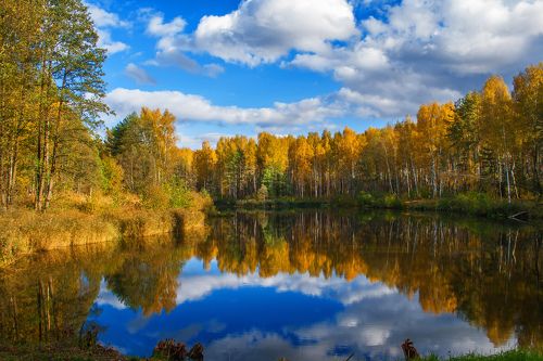 Красавица золотая осень