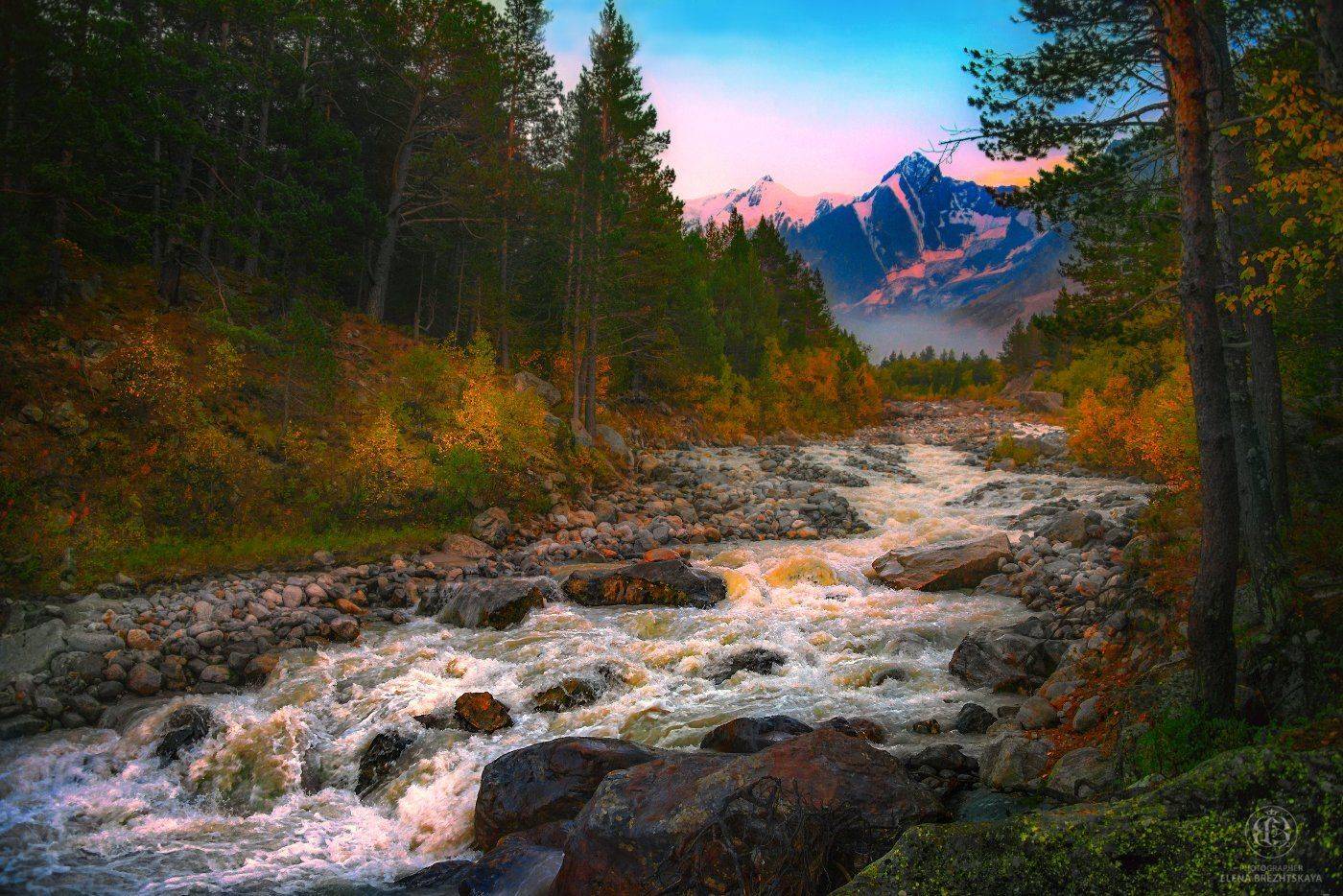 , Елена Брежицкая