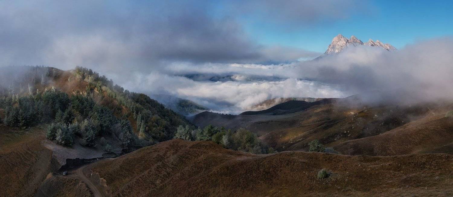 , Андрей Грачев