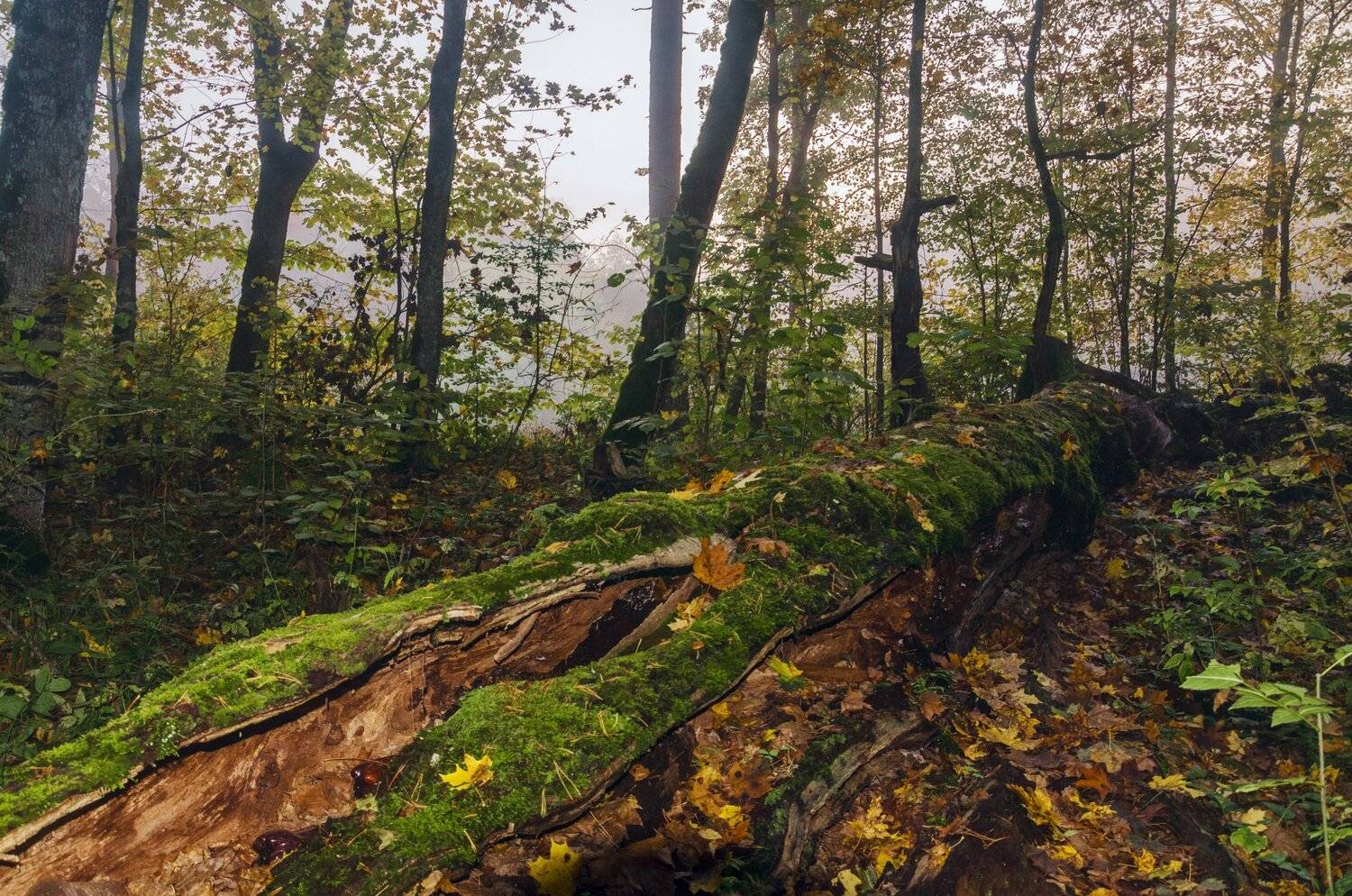nevant60, березуцкий _александр, природа, красота, пейзаж, путешествия, Александр Березуцкий
