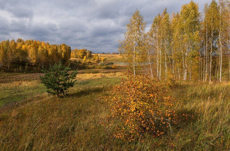 Золотая пора фото превью
