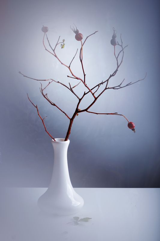 Первые холода фото превью