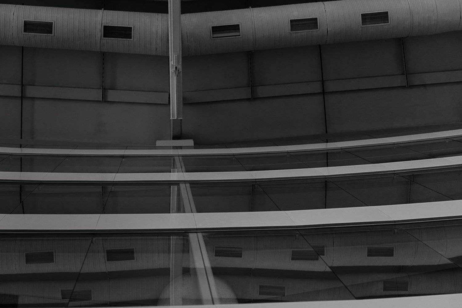 линии, Анисимова Ольга Леонидовна