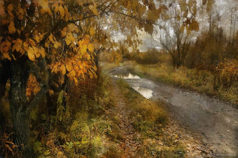 пейзаж, , природа, музыка ива. дорога. осень. 2017 фото превью