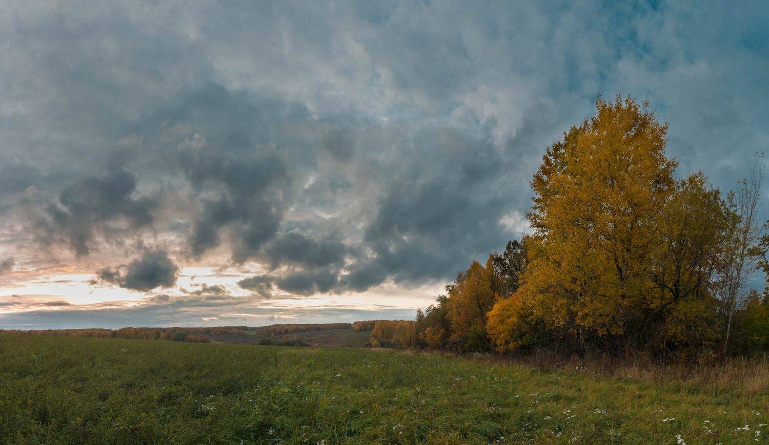 , Александр