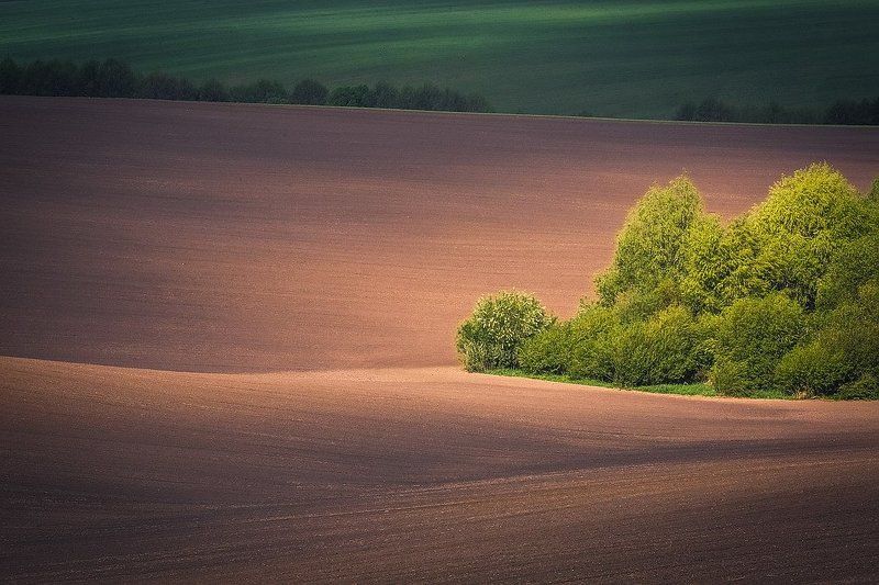 Родные края фото превью