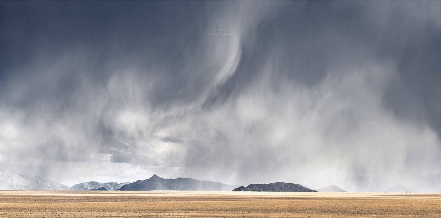 , Дмитрий Купрацевич