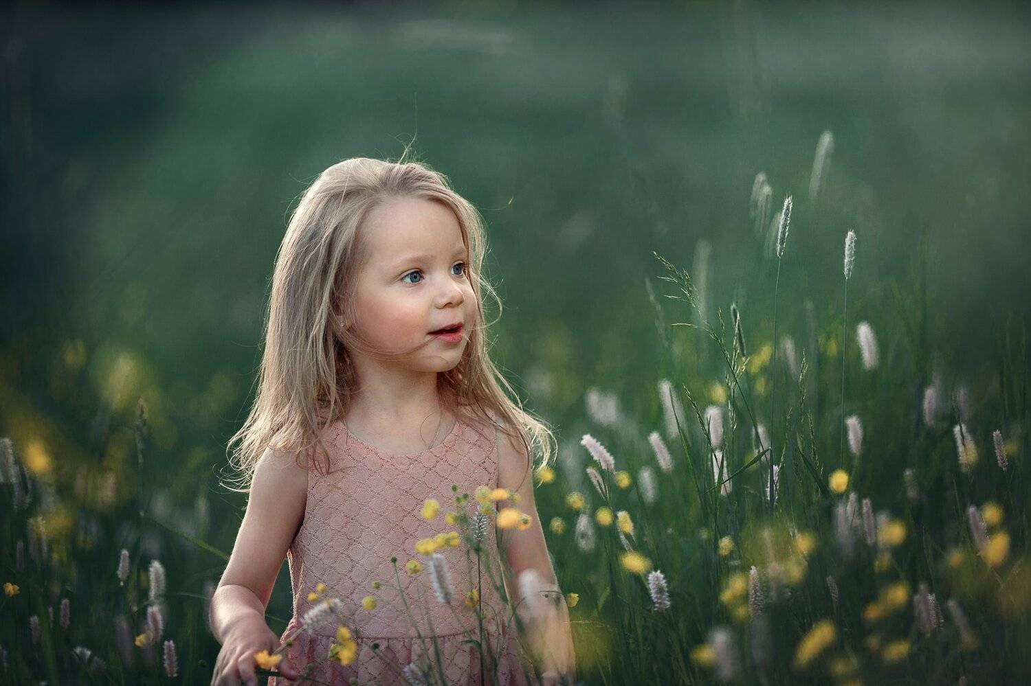 , Елена Силина