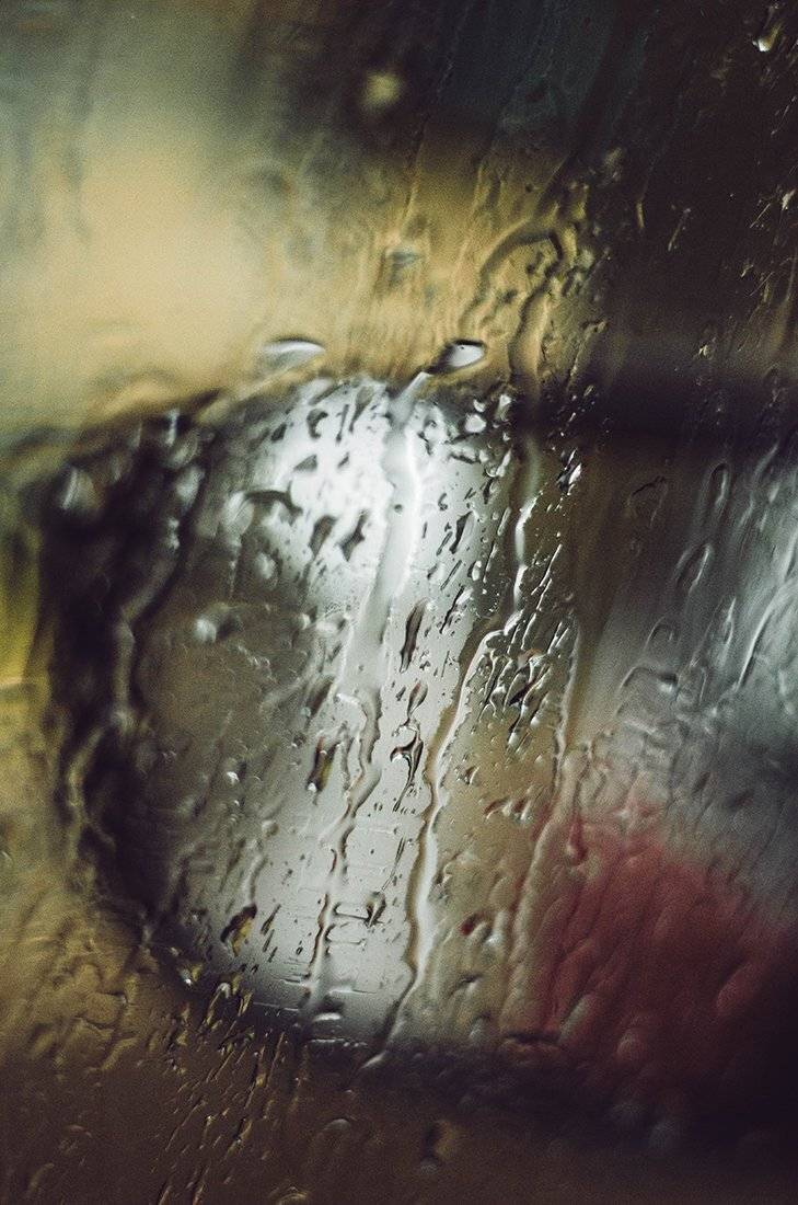 , Чернякова Анна